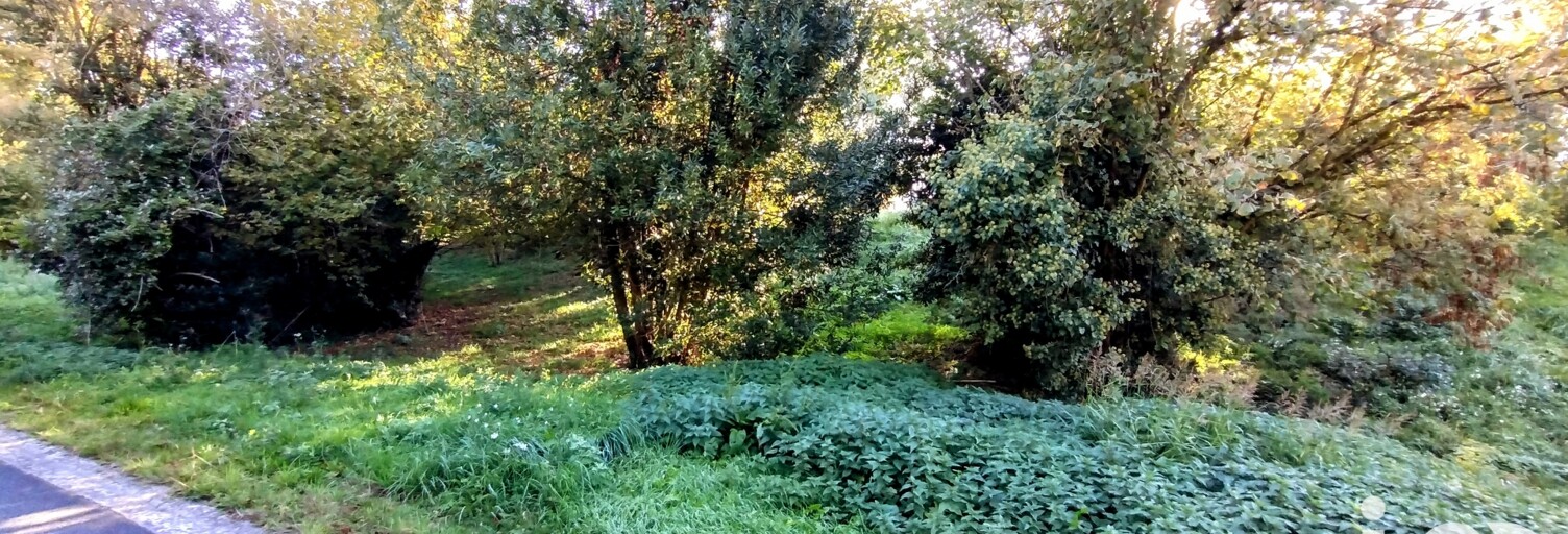 Terrain  512 m² à vendre à Savenay (44260)