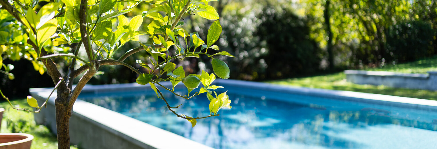 Maison 8 Pièces 280 m² à vendre à Vigoulet-Auzil (31320)