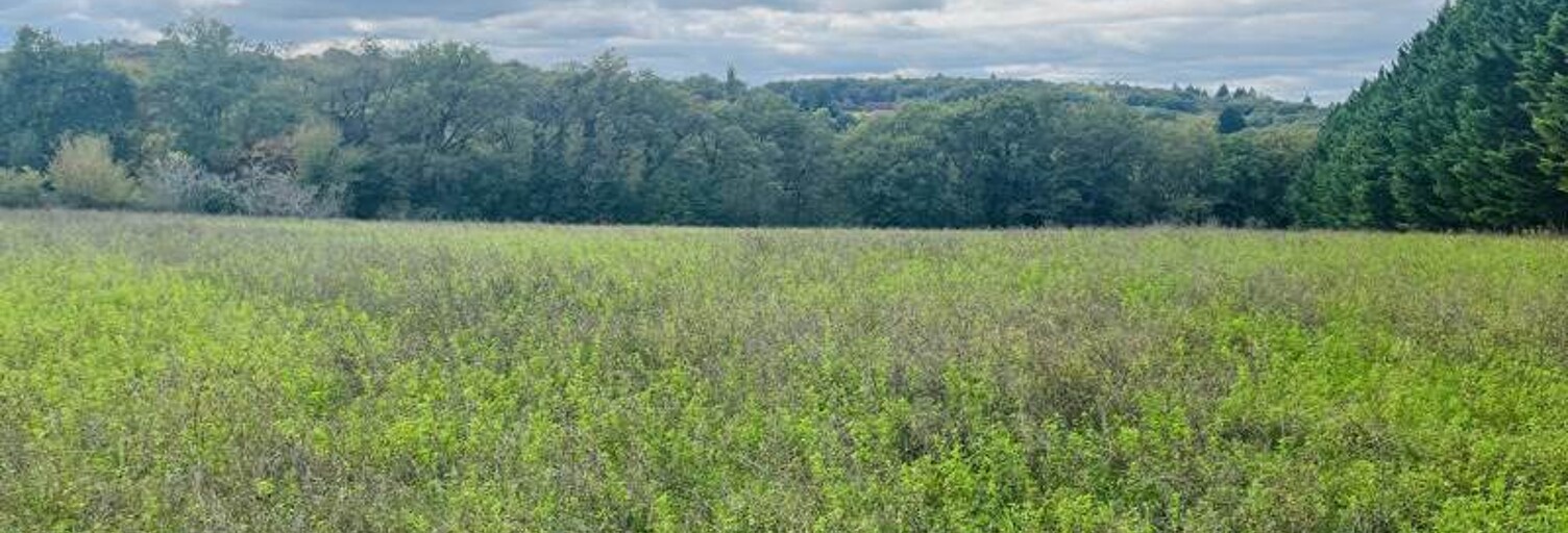 Terrain  5564 m² à vendre à Le Vigan-en-Quercy (46300)