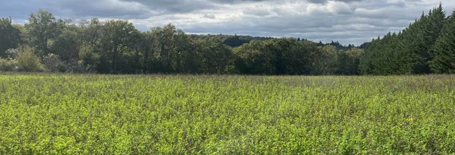 Terrain  5564 m² à vendre à Le Vigan-en-Quercy (46300)