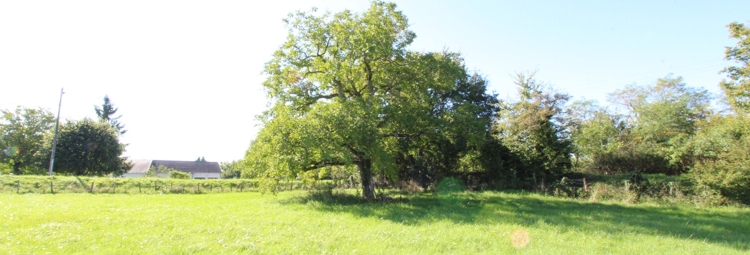 Terrain  1500 m² à vendre à La Charité-sur-Loire (58400)