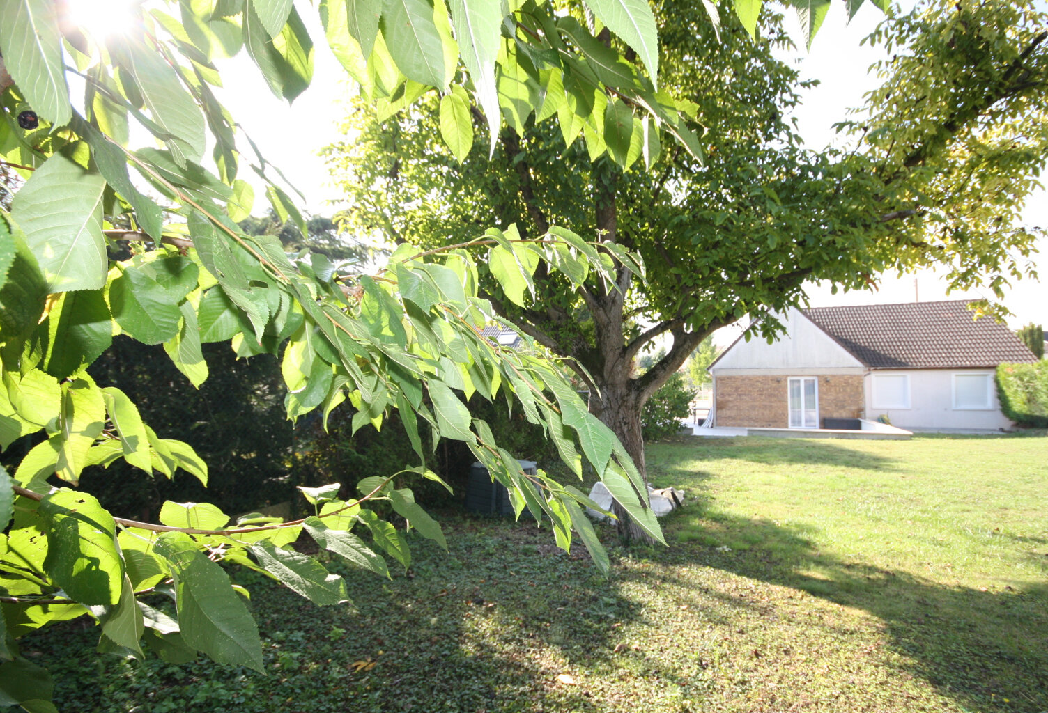 EXCUSIVITE ! Tinqueux charmante maison de plain pied 4 chambres sous sol total sur terrain de 660 m2 — photo 1