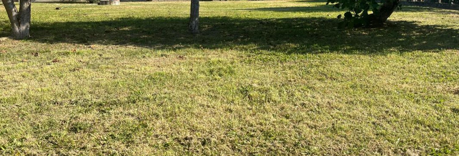 Terrain  600 m² à vendre à Fonsorbes (31470)