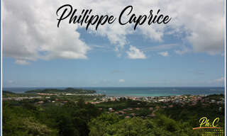 Terrain  43000 m² à vendre à Le Vauclin (97280)