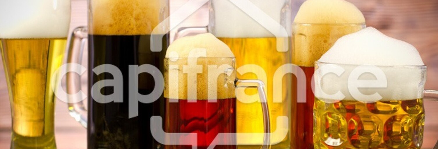 Commerce 1 Pièce 225 m² à vendre à Lille (59000)