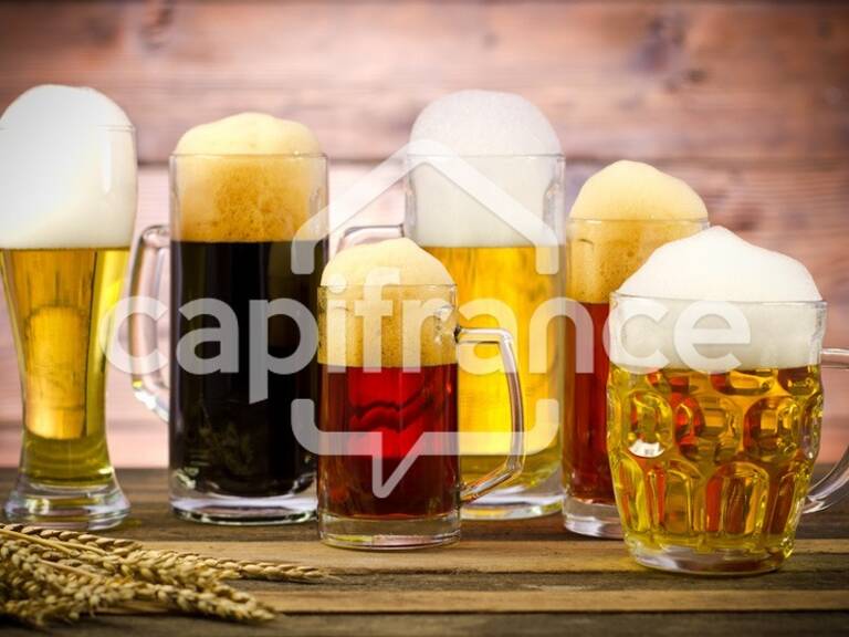 Proche de LILLE (59) - Sympathique Bar-Tabac-Fdj - CA 269 K€ — photo 1