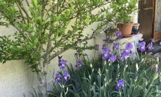 Appartement 2 Pièces 25 m² à louer à Évry-Courcouronnes (91080)