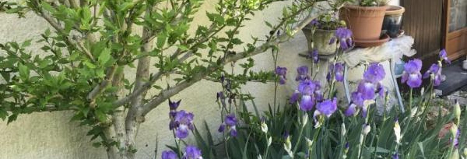 Appartement 2 Pièces 25 m² à louer à Évry-Courcouronnes (91080)