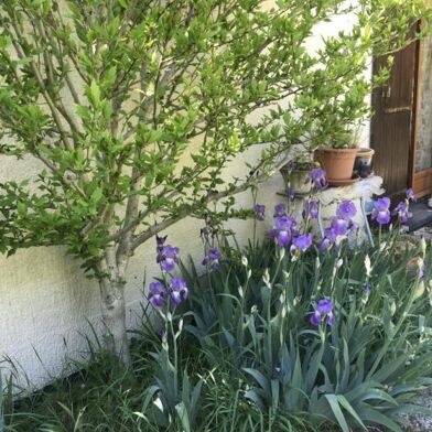 Appartement 2 pièces 850 €