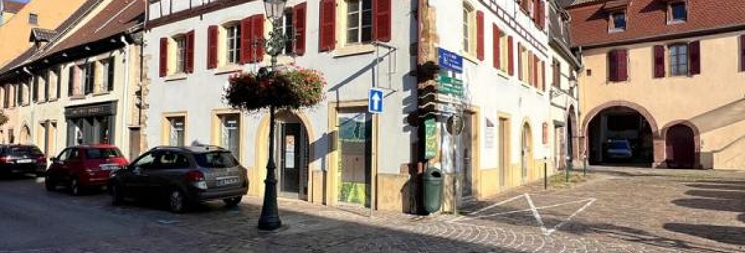 Local industriel 5 Pièces 130 m² à vendre à Rouffach (68250)