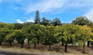 Appartement 4 Pièces 86 m² à vendre à Le Port-Marly (78560)