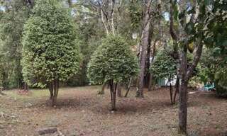 Maison 5 Pièces 130 m² à vendre à Saint-Clément-de-Rivière (34980)