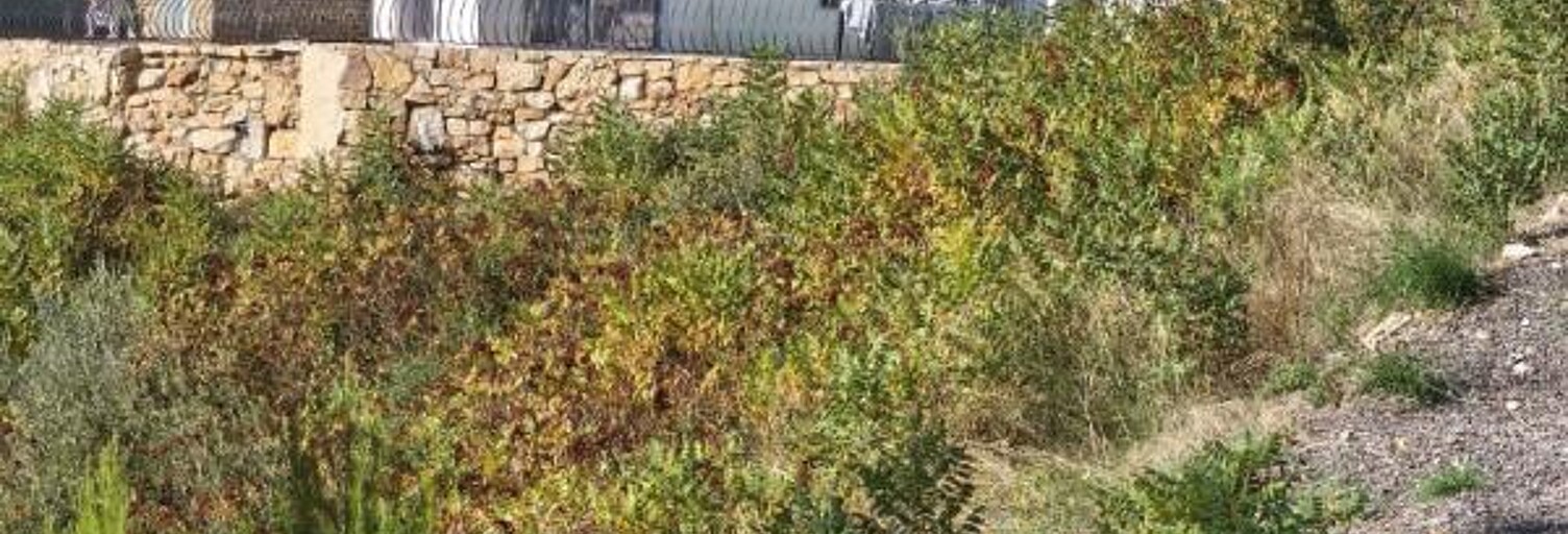 Maison 6 Pièces 160 m² à vendre à Le Luc (83340)