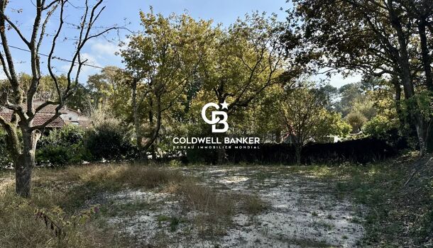 Terrain  à vendre Capbreton 40130