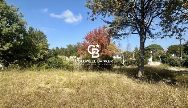 Terrain  à vendre Capbreton 40130