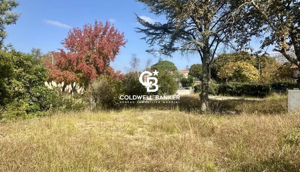 Terrain  à vendre Capbreton 40130