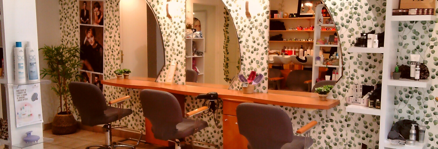 Commerce 2 Pièces 25 m² à vendre à Pouilly-sur-Loire (58150)