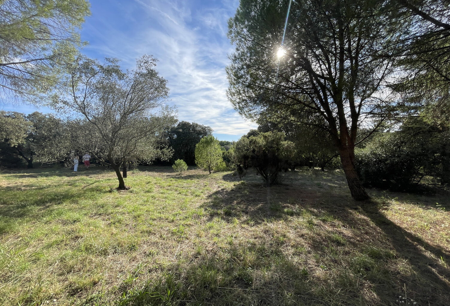 Terrain constructible viabilité en bordure de 2096m2 — photo 1
