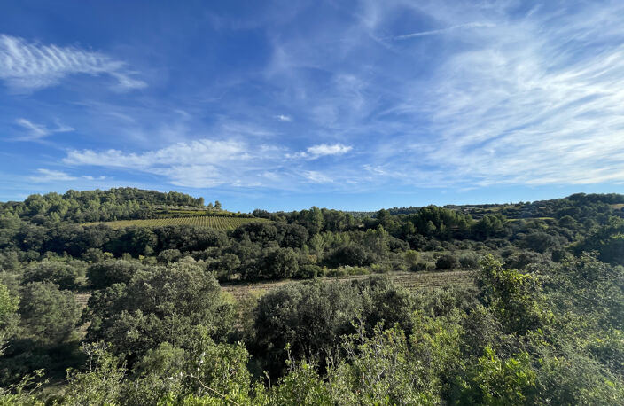Terrain constructible viabilité en bordure de 2096m2 — photo 3