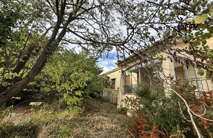 Amarre — photo 3