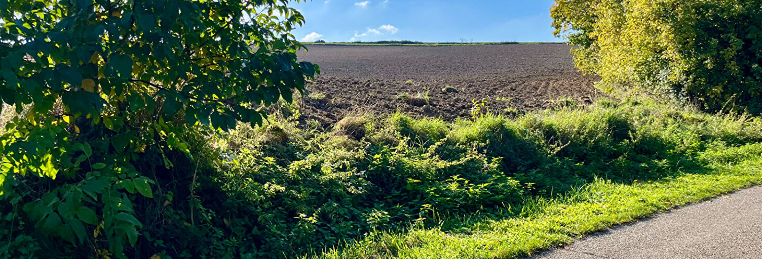 Terrain  2400 m² à vendre à Pourrain (89240)