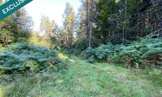 Terrain  15821 m² à vendre à Le Tholy (88530)