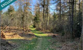 Terrain  15821 m² à vendre à Le Tholy (88530)