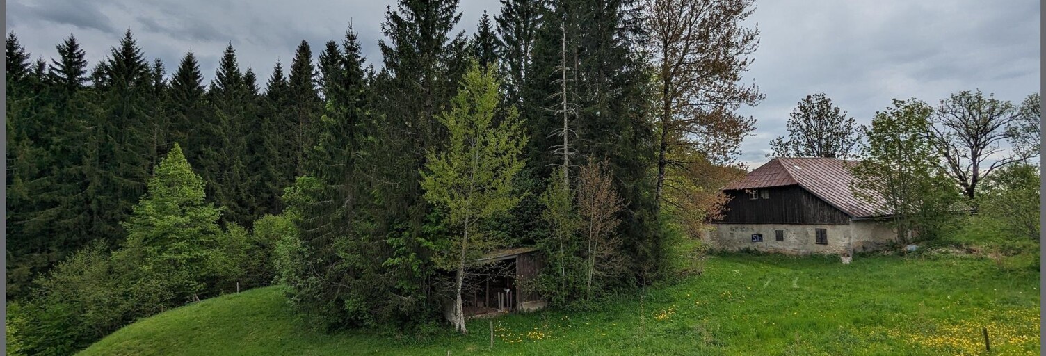 Maison 2 Pièces 69 m² à vendre à Foncine-le-Haut (39460)