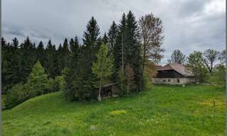 Maison 2 Pièces 69 m² à vendre à Foncine-le-Haut (39460)