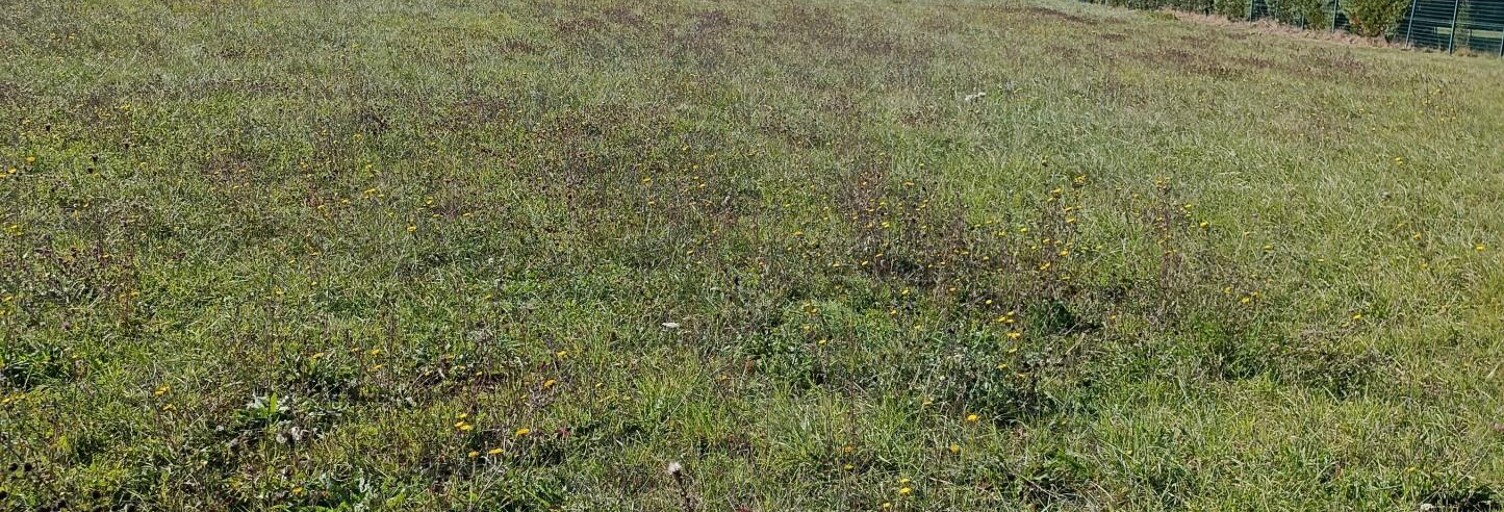 Terrain  4265 m² à vendre à Rillé (37340)