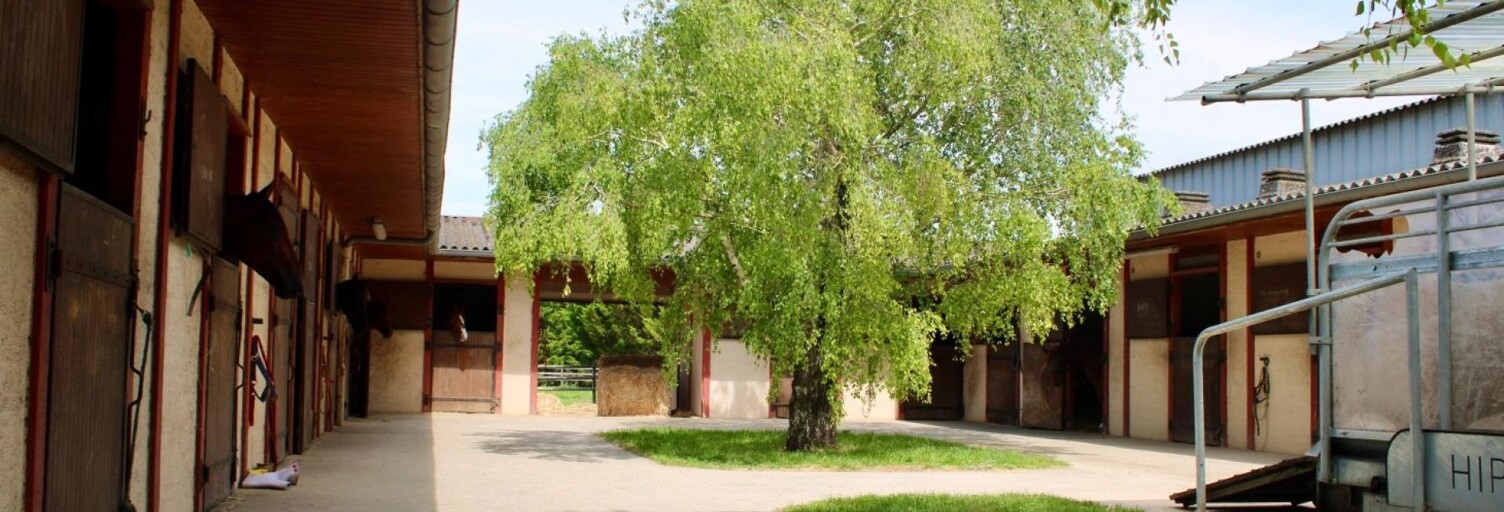 Maison 7 Pièces 152 m² à vendre à Les Églises-d'Argenteuil (17400)