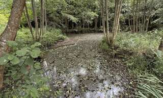 Terrain  5457 m² à vendre à Vailly-sur-Aisne (02370)