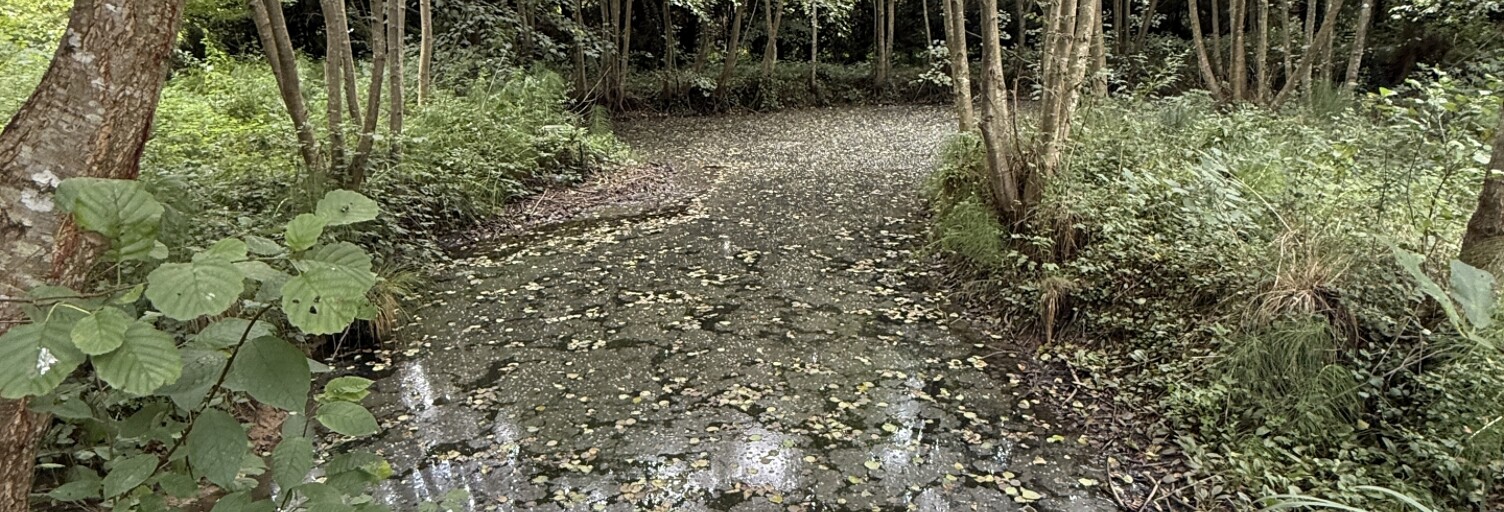 Terrain  5457 m² à vendre à Vailly-sur-Aisne (02370)