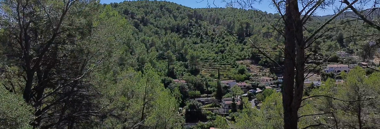 Terrain  1354 m² à vendre à Solliès-Toucas (83210)