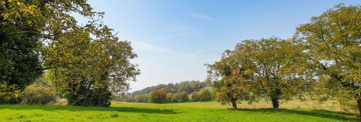 Terrain  674 m² à vendre à Beauregard-Vendon (63460)