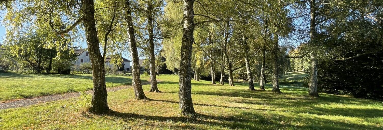 Maison 8 Pièces 257 m² à vendre à Peyrat-le-Château (87470)