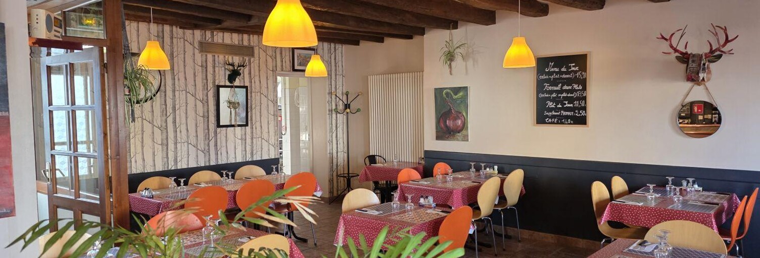 Commerce  250 m² à vendre à Saint-Flovier (37600)