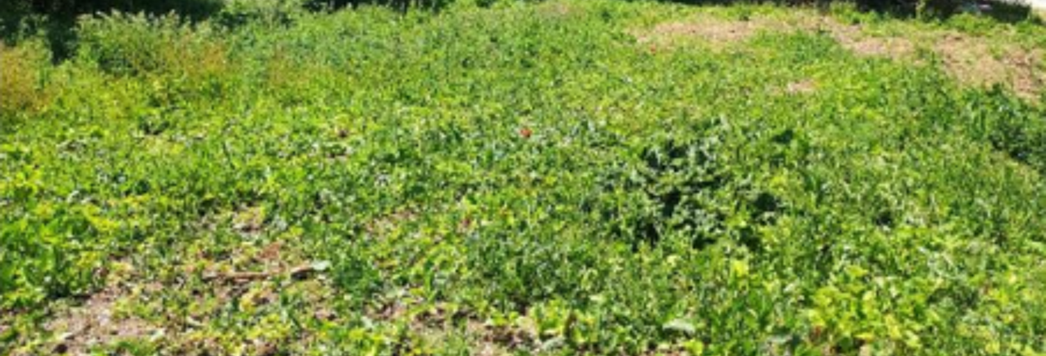 Terrain  1126 m² à vendre à Auneau-Bleury-Saint-Symphorien (28700)