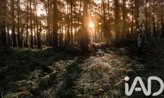 Maison 5 Pièces 170 m² à vendre à Anglet (64600)