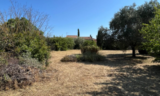 Terrain  1089 m² à vendre à Montady (34310)