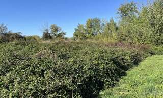 Terrain  879 m² à vendre à Caussens (32100)