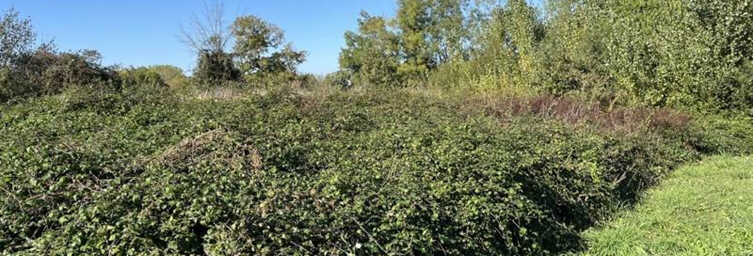 Terrain  879 m² à vendre à Caussens (32100)