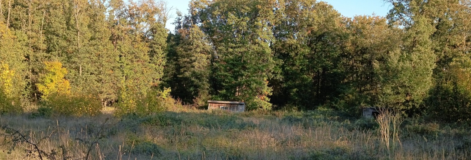 Terrain  19102 m² à vendre à Saint-Pierre-de-Maillé (86260)