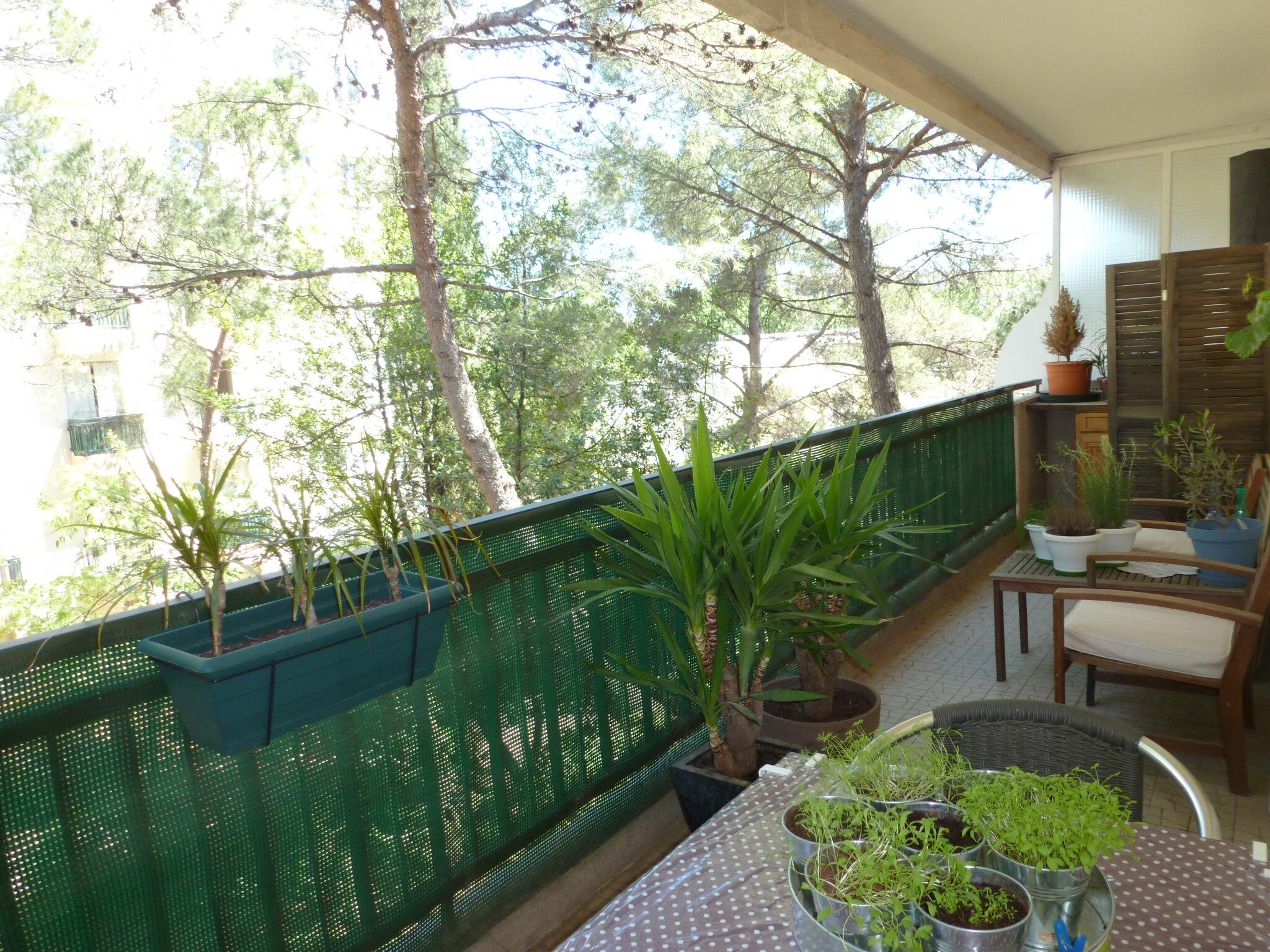 Appartement  T2 à vendre Montpellier 34000