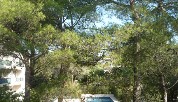 Appartement 2 pièces  à vendre Montpellier 34000