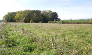 Terrain  5140 m² à vendre à Ervy-le-Châtel (10130)