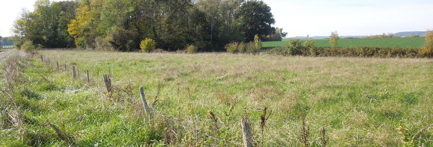 Terrain  5140 m² à vendre à Ervy-le-Châtel (10130)