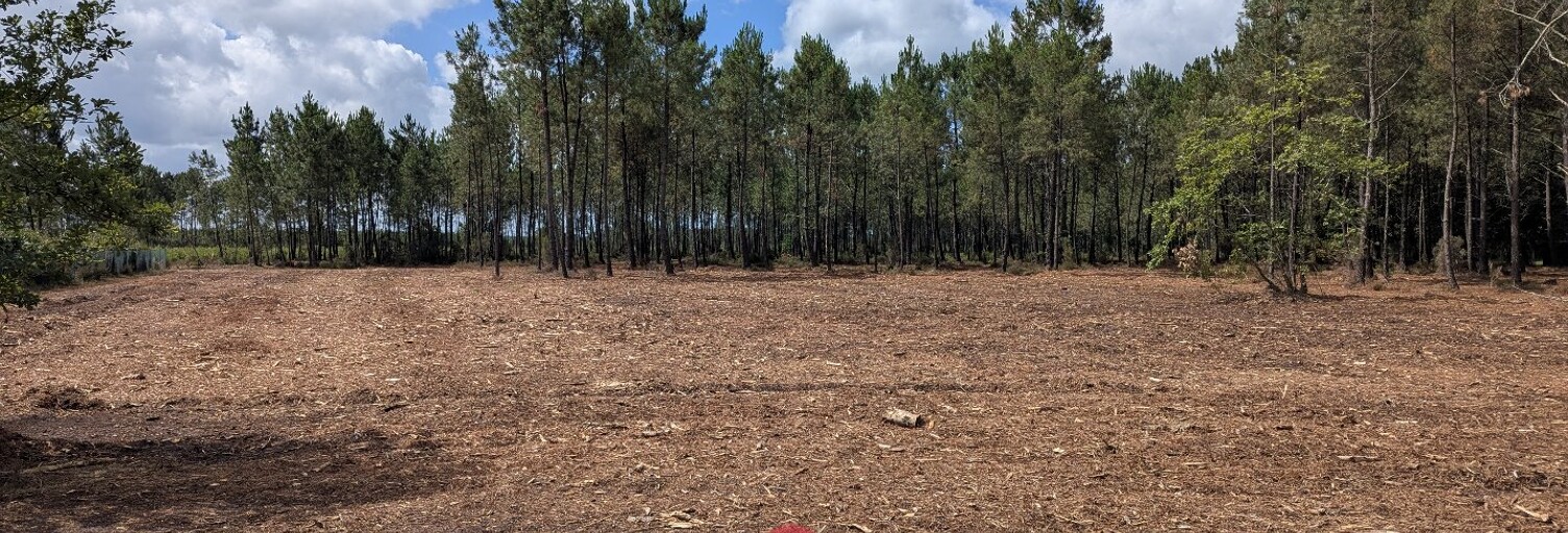 Terrain  1600 m² à vendre à Parentis-en-Born (40160)