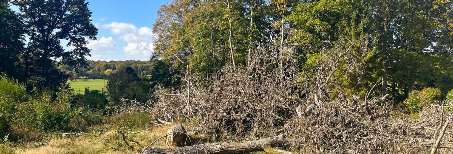 Terrain  2003 m² à vendre à Gisors (27140)