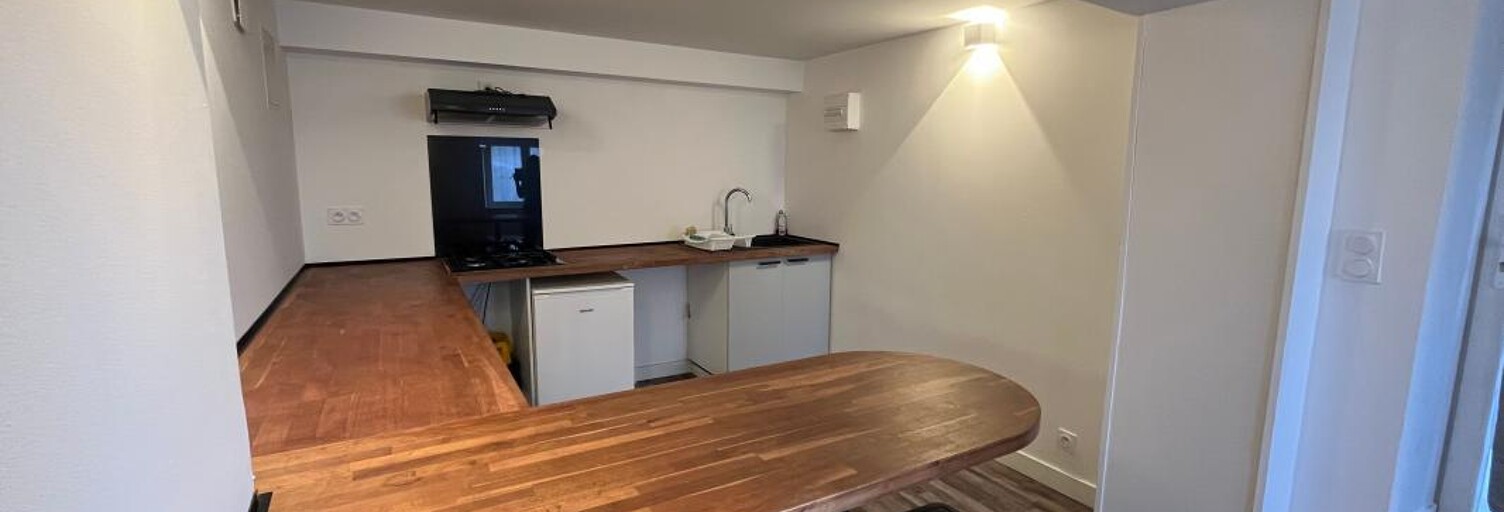 Appartement 1 Pièce 33 m² à louer à La Mulatière (69350)
